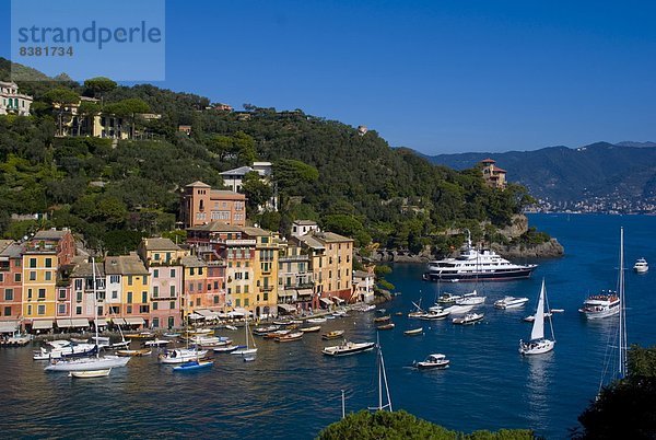 Portofino  Riviera di Levante  Ligurien  Italien  Europa