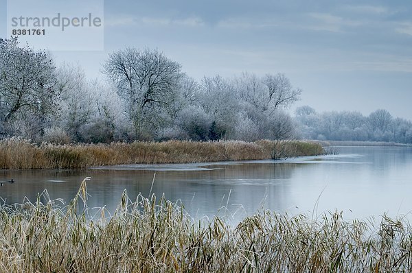 Landschaftlich schön  landschaftlich reizvoll  Wasser  Europa  Großbritannien  Kälte  Ansicht  Ausdauer  England  Gloucestershire