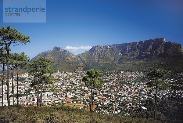 Südliches Afrika  Südafrika  Kapstadt