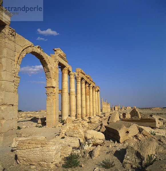 Palmyra  Syrien