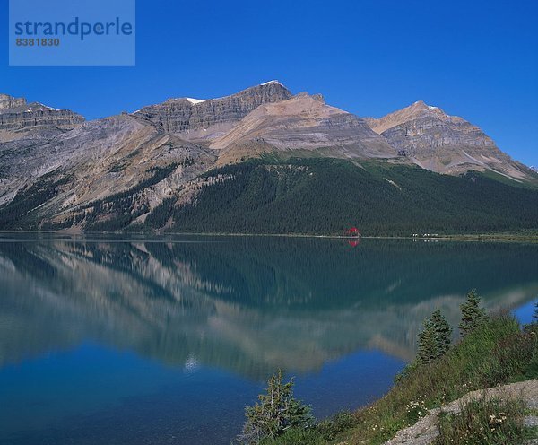 Spiegelung  See  Unterricht  Rocky Mountains  Banff Nationalpark  Alberta  Kanada