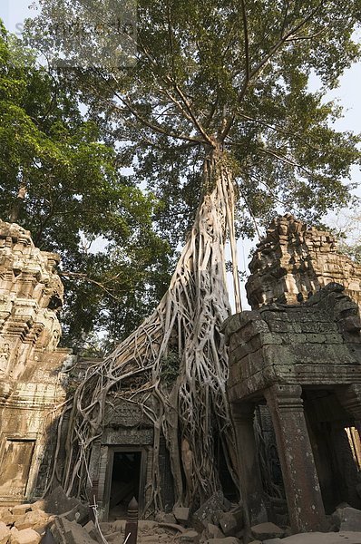 Angkor Thom  Kambodscha  Siem Reap