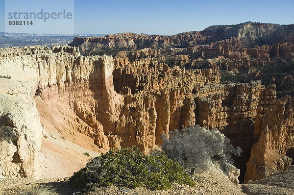 Bryce Canyon Nationalpark  Utah  Vereinigte Staaten von Amerika  Nordamerika