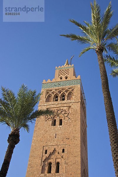 Koutoubia-Minarett  Marrakesch  Marokko  Nordafrika  Afrika