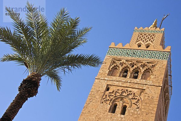 Koutoubia-Minarett  Marrakesch  Marokko  Nordafrika  Afrika