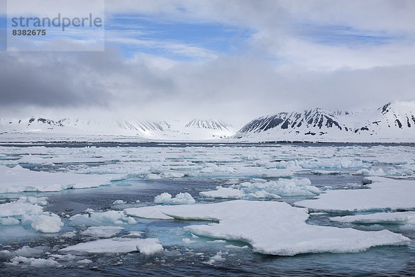 Eisscholle  Europa  Norwegen  Spitzbergen  Skandinavien  Svalbard