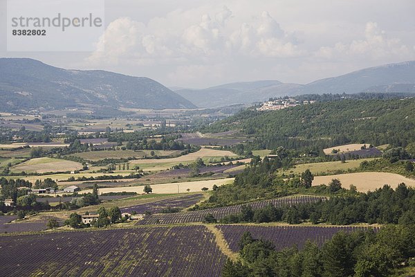 Sault de Provence  Vaucluse  Provence  Frankreich  Europa