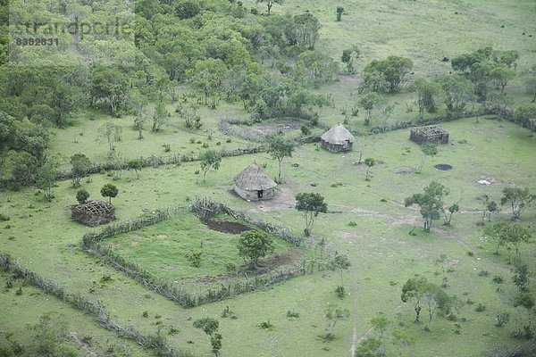 Ostafrika  Masai Mara National Reserve  Afrika  Kenia