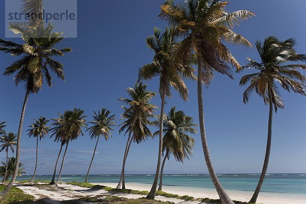 Karibik  Westindische Inseln  Mittelamerika  Dominikanische Republik  Punta Cana