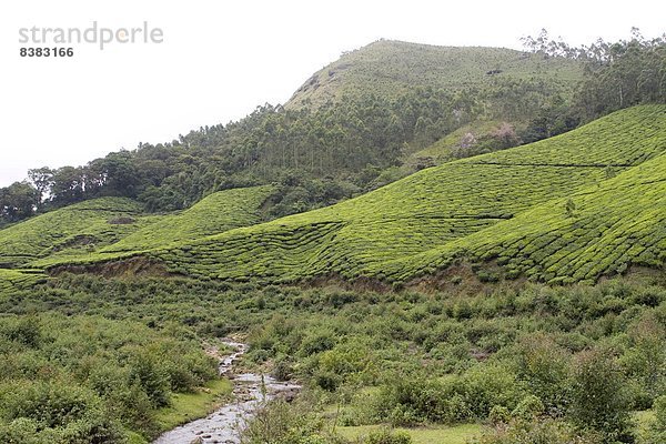 Landschaft  Asien  Indien  Kerala