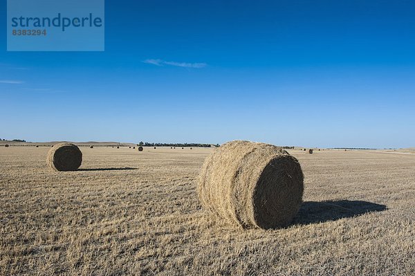 Vereinigte Staaten von Amerika  USA  Feld  Heu  Bündel  Nordamerika  2  vorwärts  Richtung  Nebraska