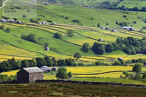 hoch  oben  nahe  Europa  Sommer  Großbritannien  Fernverkehrsstraße  Yorkshire and the Humber  England  Swaledale