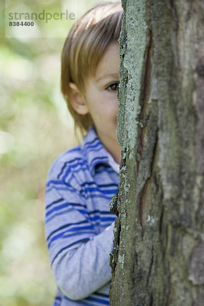 Junge schaut von hinten auf den Baum