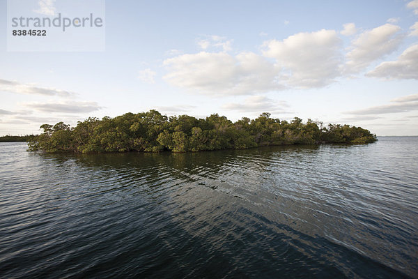 Kleine bewaldete Insel im Wasser