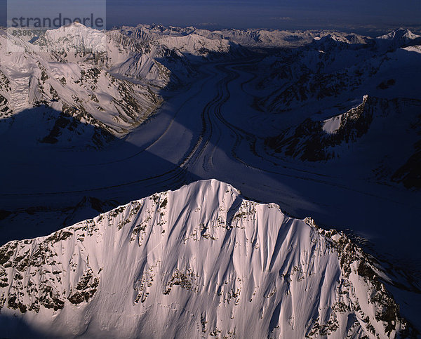 Denali Nationalpark  Alaska  USA