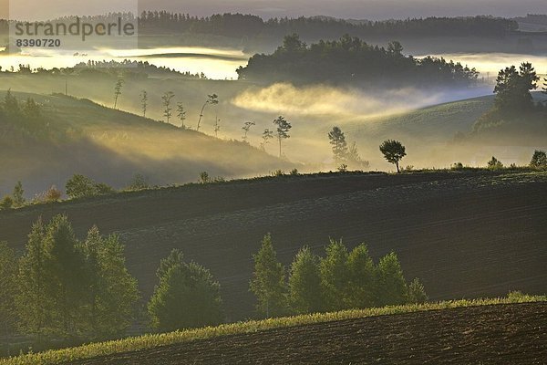 Biei  Hokkaido  Hokkaido