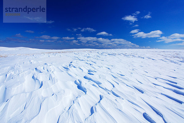 Hokkaido  Japan