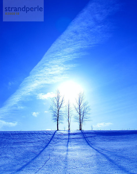 Biei Hokkaido Hokkaido