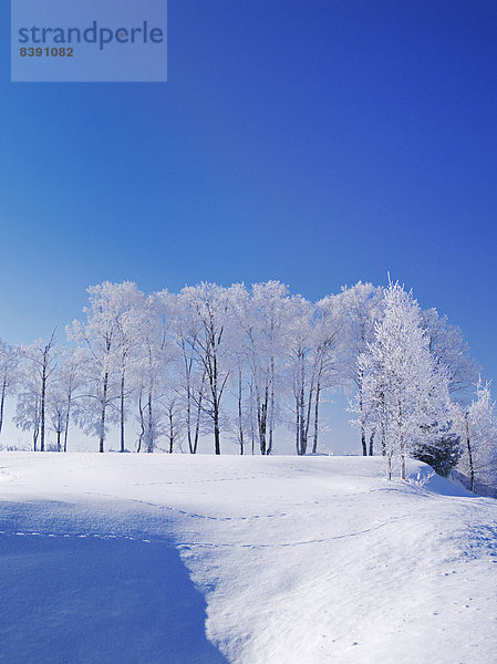 Hokkaido  Japan