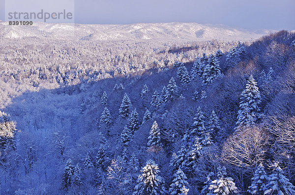 Hokkaido  Japan