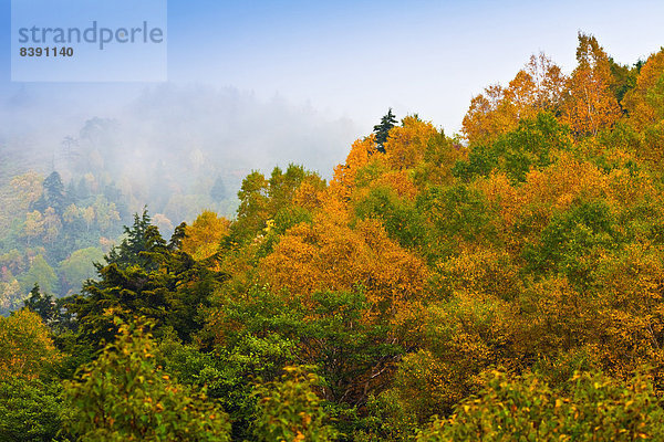 Herbstfarben