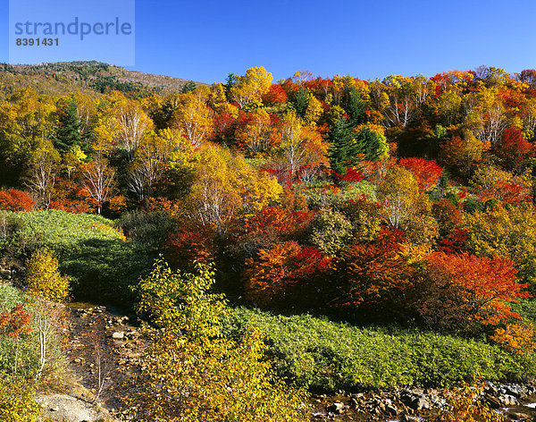 Herbstfarben