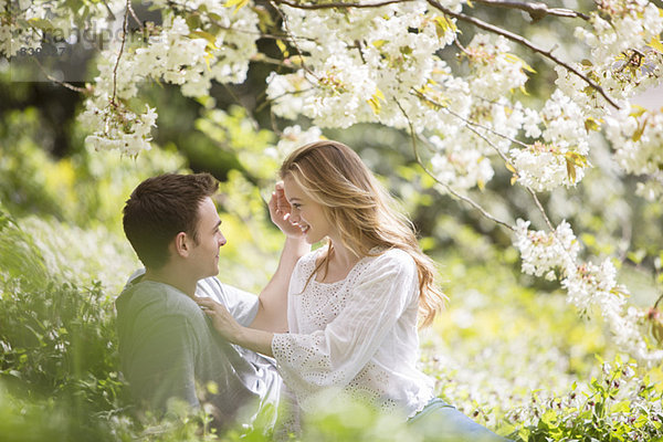 Pärchen im Gras unter dem Baum mit weißen Blüten