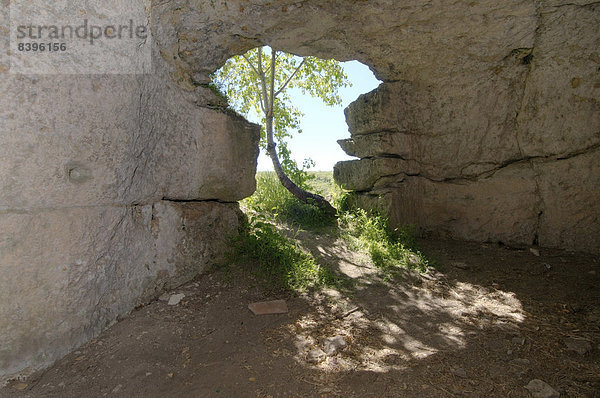 Höhle  Festungsstadt Çufut Qale  bei Bachtschyssaraj  Krim  Ukraine