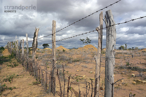 Primitiver Zaun an einer kargen Weide  Lencois  Bahia  Brasilien