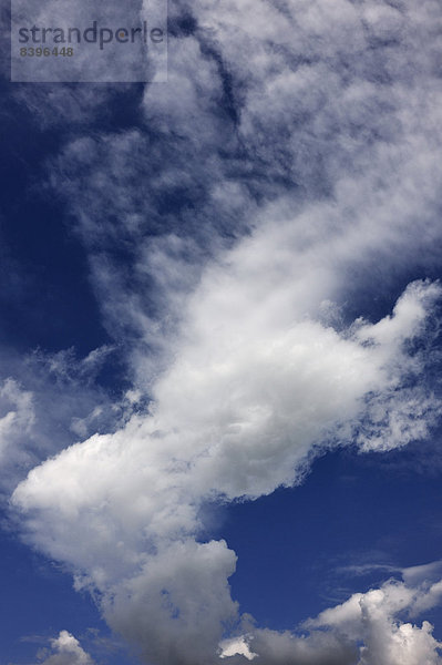 Haufenschichtwolken  Stratocumulus  Deutschland
