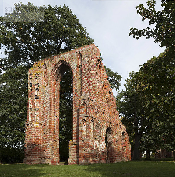 Klosterruine Eldena  Greifswald  Mecklenburg-Vorpommern  Deutschland