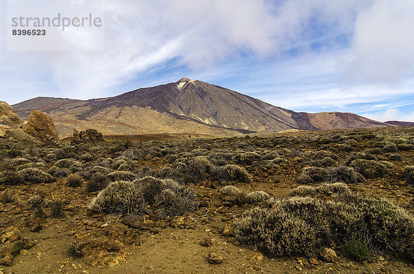 Lavalandschaft im Teide-Nationalpark  UNESCO-Weltnaturerbe  Teneriffa  Kanaren  Spanien