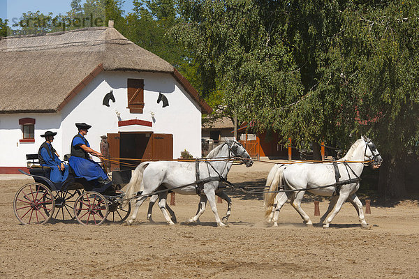 Zwei Csikós auf Pferdekutsche  Gestüt Tanyacsárda  Kecskemét  Puszta  Ungarn