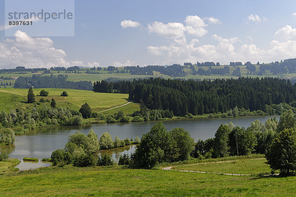 Nordufer am Rottachspeicher  Rottachsee  Oberallgäu  Schwaben  Bayern  Deutschland