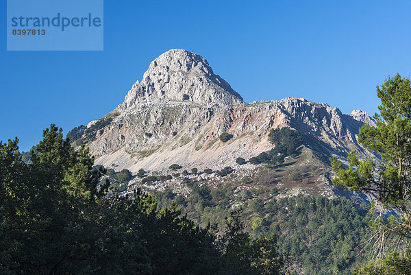 Der Berg Rocca di Novara  1340 m  bei Novara di Sicilia  Provinz Messina  Sizilien  Italien