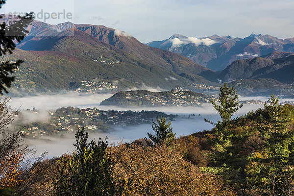 Morgen über Nebel Herbst Botanik Lugano Schweiz Kanton Tessin