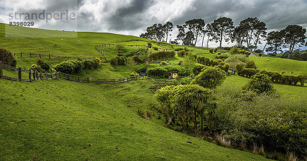 Landschaft bei Hobbingen im Auenland  Schauplatz der Herr der Ringe und Der Hobbit Film-Trilogien  bei Matamata  Nordinsel  Neuseeland