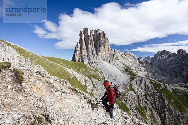 Bergsteiger am Rotwandklettersteig  hinten die Tscheinerspitze  Dolomiten  Südtirol  Italien