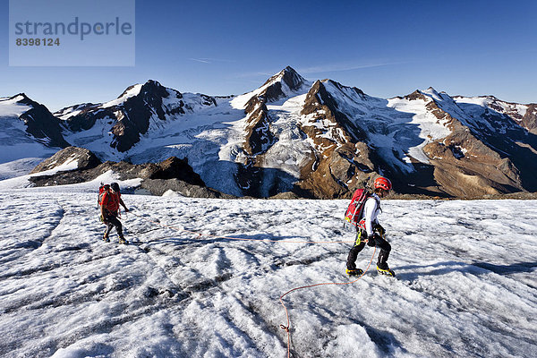 'Bergsteiger auf dem Gletscher ''Gepatschferner''  hinten die Weißkugel  Südtirol  Italien'