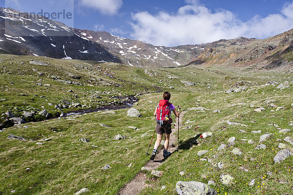 Wanderin im Ultental  hinten der Gipfel der Gleckspitz  Ultental  Südtirol  Italien