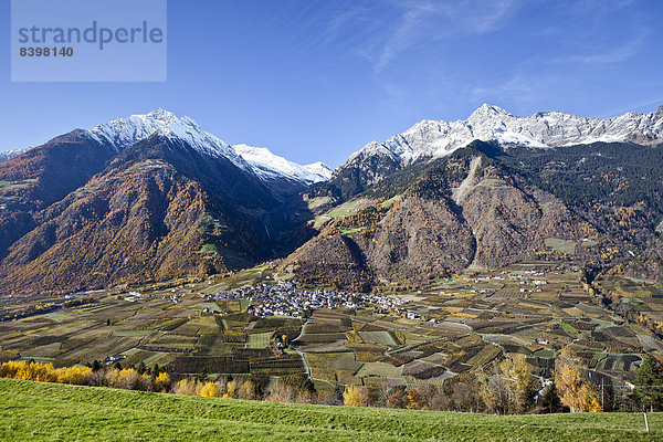 Das Dorf Partschins im Vinschgau  hinten die Zielspitz  Südtirol  Italien