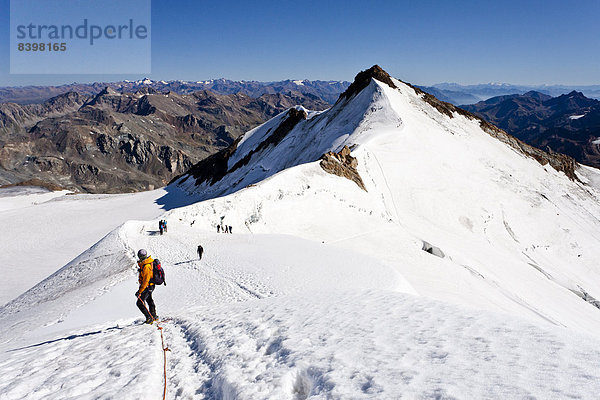 Bergsteiger auf dem Gipfelgrat des Monte Cevedale  hinten die Zufallspitze  Südtirol  Italien