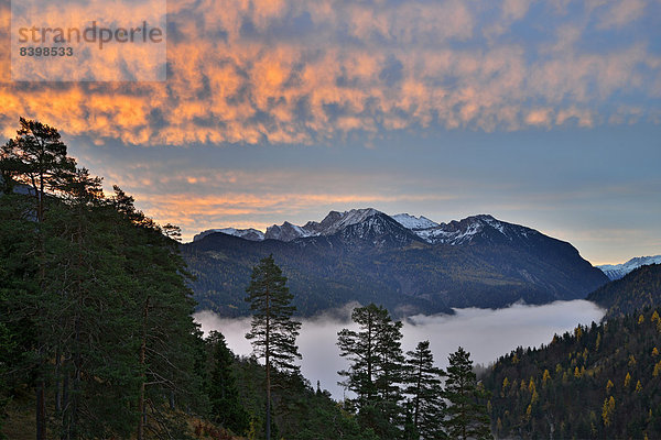Rofangebirge bei Sonnenaufgang  von Bründlalm aus gesehen  Tirol  Österreich