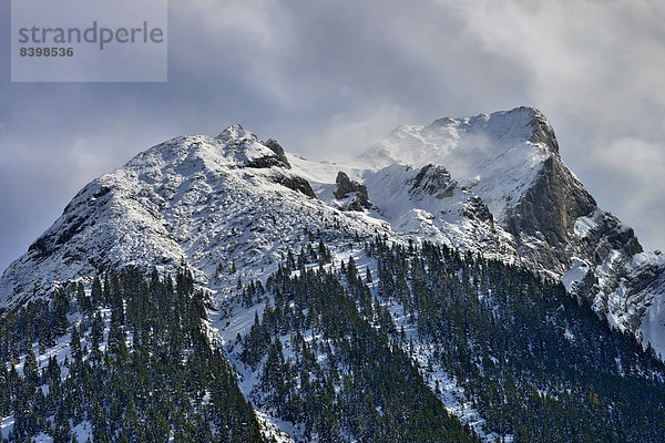 Schaufelspitze  vom Risstal aus  Karwendelgebirge  Tirol  Österreich