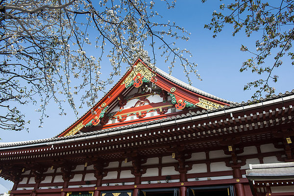 Sens?-ji Tempel  Asakusa  Tokio  Japan