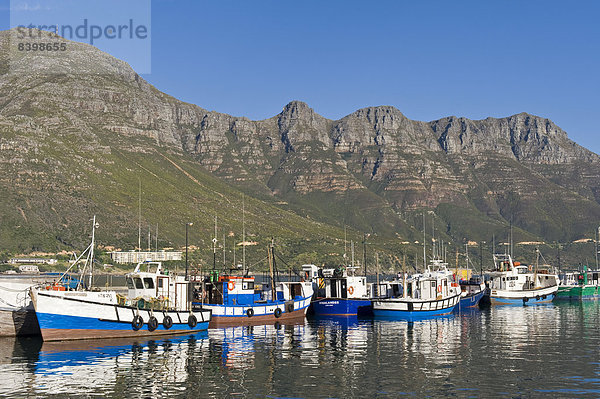 Fischtrawler im Hafen von Hout Bay  Kapstadt  Westkap  Südafrika