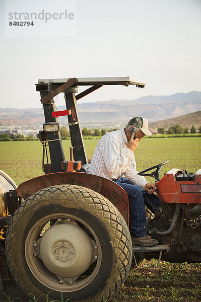 benutzen  Europäer  Telefon  Traktor  Nutzpflanze  Feld  Bauer  Handy