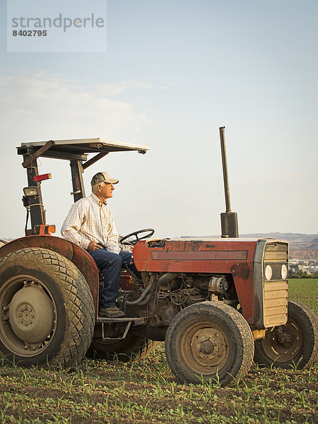 Europäer  fahren  Traktor  Nutzpflanze  Feld  Bauer