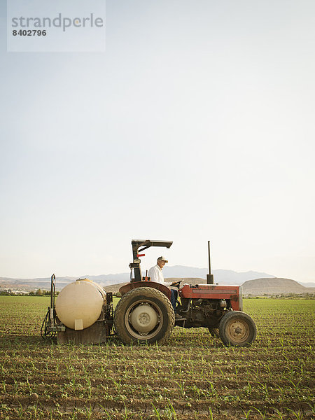 Europäer  fahren  Traktor  Nutzpflanze  Feld  Bauer