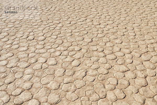 Ausgetrockneter Sandboden  Dead Pan  Sossusvlei  Namib-Wüste  Namibia